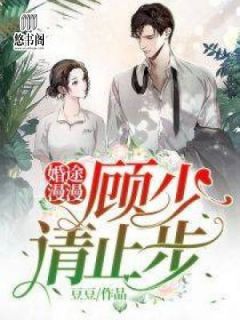 婚途漫漫:顾少,请止步
