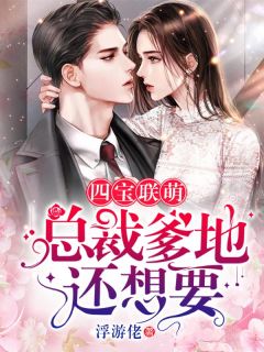 《四宝联萌：总裁爹地还想要》小说章节列表精彩阅读 蓝颜初景暮寒小说阅读