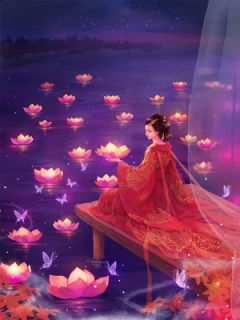 神医弃妃要改嫁苏昔洛燕启 苏昔洛燕启小说阅读