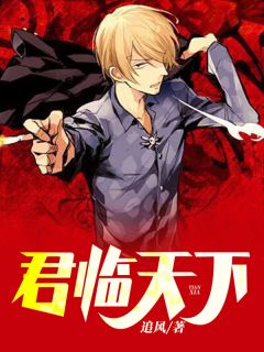 君临天下by追风 叶君临陈诗雨依依免费完整版