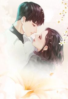 小说《重生大佬夫人又逆袭了》谢知非薄锦年全文免费阅读