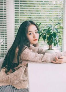 精品热文《狗男人!离婚》苏小叶薄韬小说全文精彩章节免费试读无删减