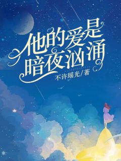 《暗夜里的爱》小说大结局免费阅读 温婉沈寒默小说全文