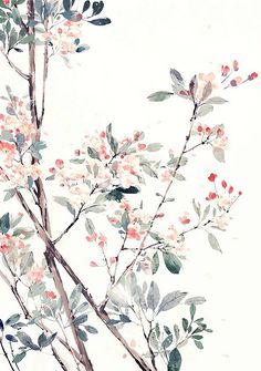 《满地相思何处拾》(文亦舒沈千珩)小说阅读by余旧默存