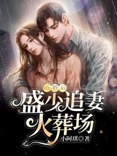 离婚后,盛少追妻火葬场!