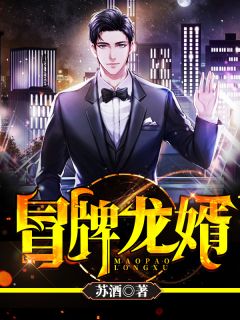 冒牌龙婿小说试读_林天唐宛小说全文章节列表