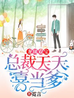 龙凤双宝:总裁天天喜当爹主角夏尔若南黎川全文章节免费试读
