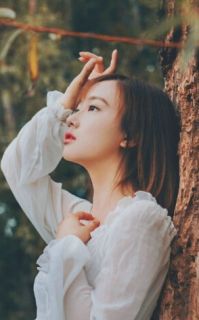 终不后悔爱你一场主角白璎盛景深全文章节在线阅读