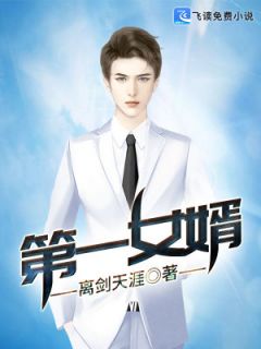 《第一女婿》小说完结版精彩阅读 陈风叶青青小说全文