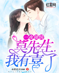 《总裁开视频会议忽然一道女声响起》小说完结版精彩阅读 苏锦莫北宸小说全文