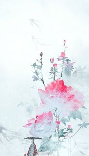 因你成仙，为你堕魔