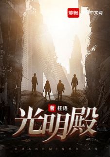 《光明殿》小说大结局在线阅读 郑明叶婉小说阅读