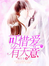 《可惜爱有天意》小说全文在线阅读 陈筱秦沐泽小说阅读