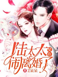 《陆太太又在闹离婚了》小说全文精彩章节免费试读(沈初染陆北司)