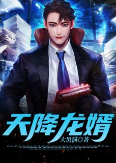 天降龙婿