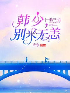 一胎三宝:韩少,别来无恙