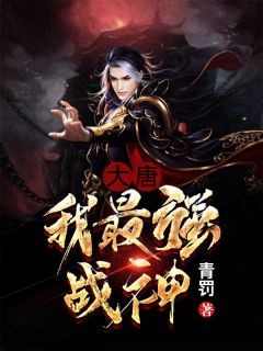 大唐：我最强战神！完整全文阅读 秦牧李秀宁结局无删节