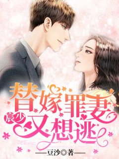 宸少,替嫁罪妻又想逃