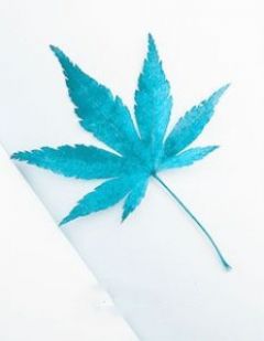 《超级高手在都市》免费阅读 江小白林清澜在线阅读