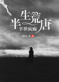 半生荒唐，半世疯癫姜幼夏盛景廷全本大结局阅读