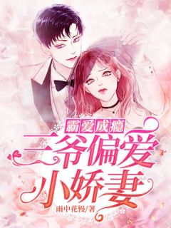 霸爱成瘾：三爷偏爱小娇妻完整版在线阅读（主角宋汀晚时辞渊）