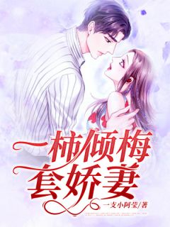 《一柿倾梅套娇妻》小说章节目录在线阅读 许茵一苏逸阳小说阅读