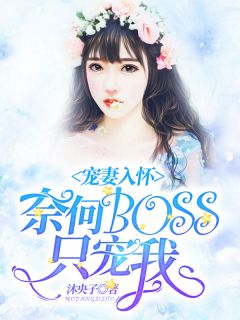 宠妻入怀:奈何boss只宠我