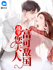 战爷,您夫人富可敌国