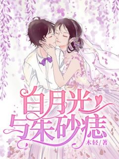 《白月光与朱砂痣》许锦心楚修年大结局免费阅读