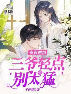 夜夜燃情:三爷轻点,别太猛