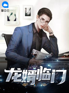 精品《龙婿临门》小说免费试读 林天风陈雨墨小说全集无删减全文