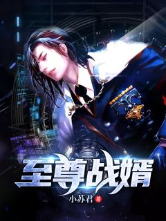 主角是林川苏若雪的小说 《至尊战婿》 全文精彩试读