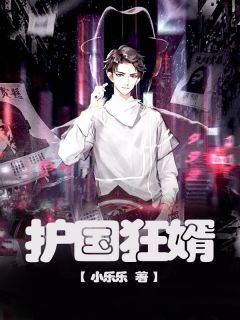 护国狂婿陈昊天沈恋冰 by小乐乐完整在线阅读