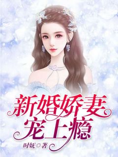 新婚娇妻宠上瘾免费阅读 沈琦夜墨轩的小说免费试读