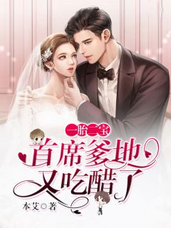 一胎二宝:首席爹地又吃醋了