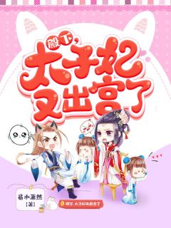 殿下,太子妃又出宫了