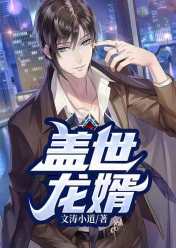 《盖世龙婿》小说大结局在线阅读 叶潜龙唐文晴小说阅读