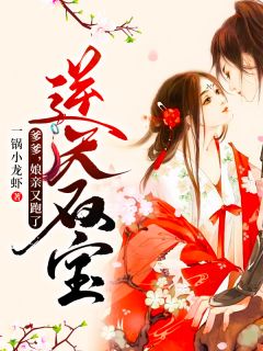 逆天双宝:爹爹,娘亲又跑了