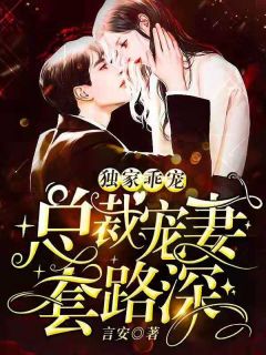 《独家乖宠:总裁追妻套路深》小说章节列表精彩阅读 苏童北燕锦小说阅读