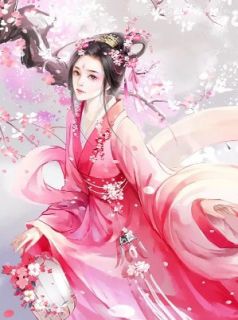 重生女妃小说 叶惊珣宋衍濯在线阅读