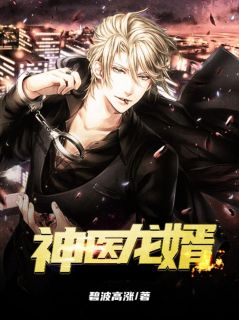 《神医龙婿》小说全文精彩试读 《神医龙婿》最新章节列表