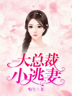 大总裁,小逃妻!