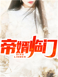 《帝婿临门》陆晨叶红霜小说精彩章节免费试读