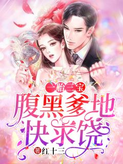 三宝驾到:腹黑爹地追妻忙