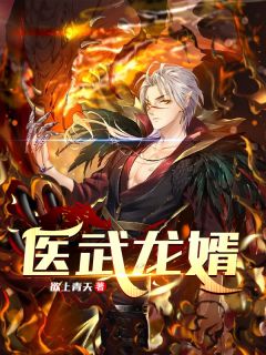 《医武龙婿》小说章节列表精彩阅读 徐风赵轻舞小说全文