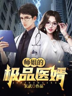 《师姐的极品医婿》小说全集免费免费试读(陆鸣萧玲珑)