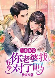 一胎五宝:乔少,你老婆找对了吗