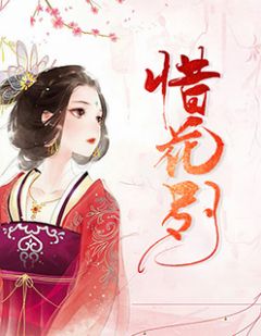 《盔甲着身许终身花芷》小说完结版精彩试读 花芷顾晏惜小说全文