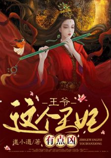 王爷,这个王妃有点凶