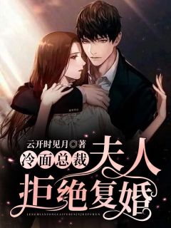 《冷面总裁：夫人拒绝复婚》习茵云西赫章节在线试读